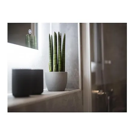 Vakantiehuis Q-stall, 02